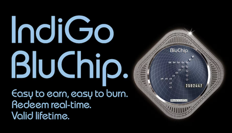 Indigo Bluchip